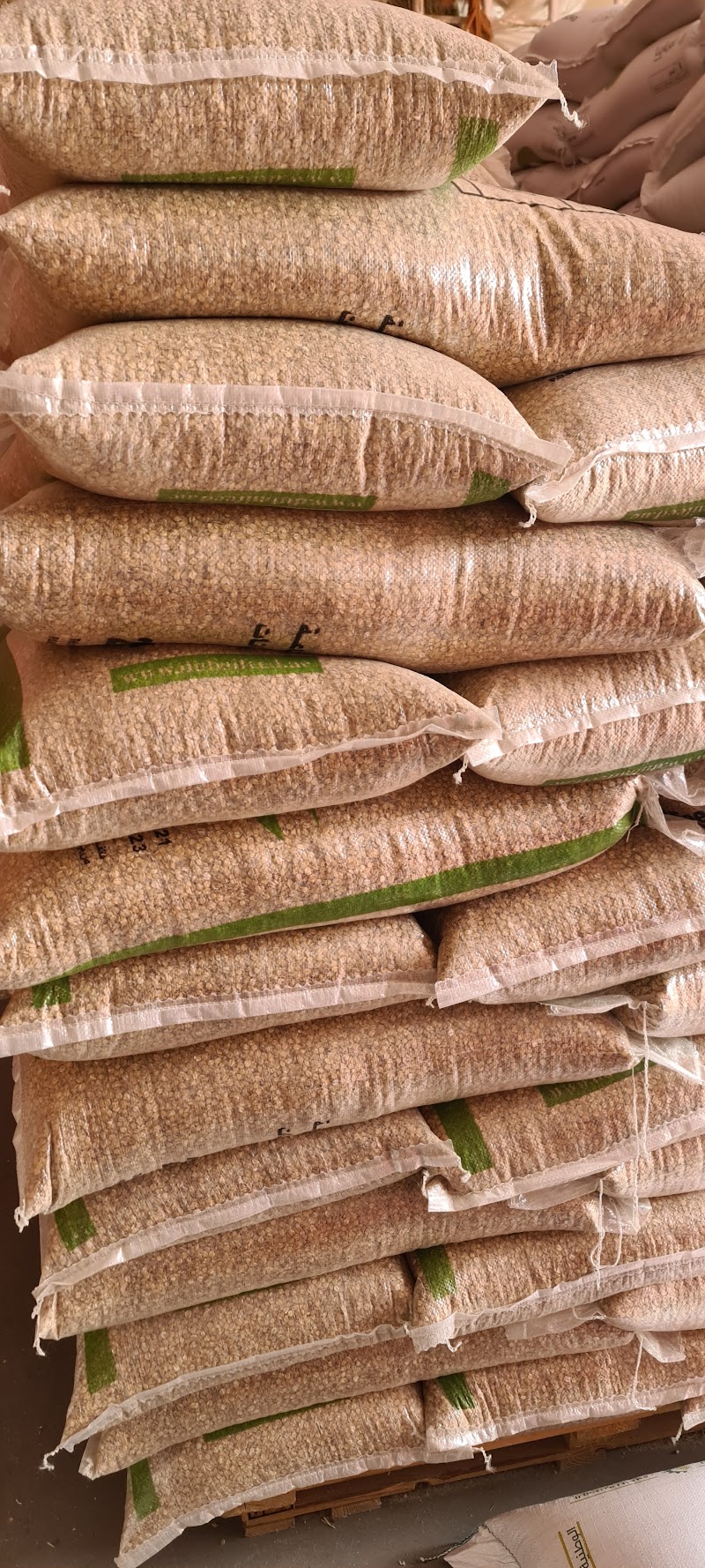 تصویر شماره 8