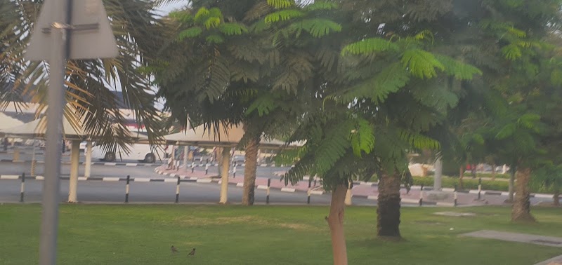 تصویر شماره 9