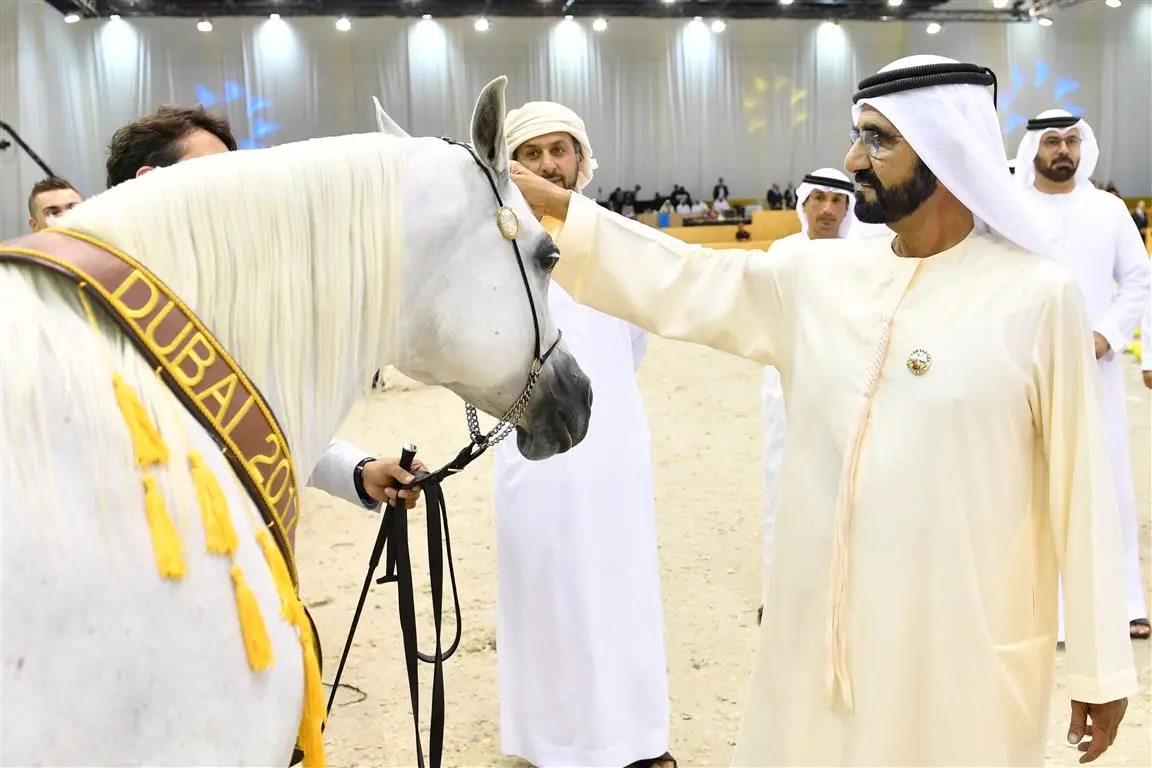 Dubai International Arabian Horse Exhibition