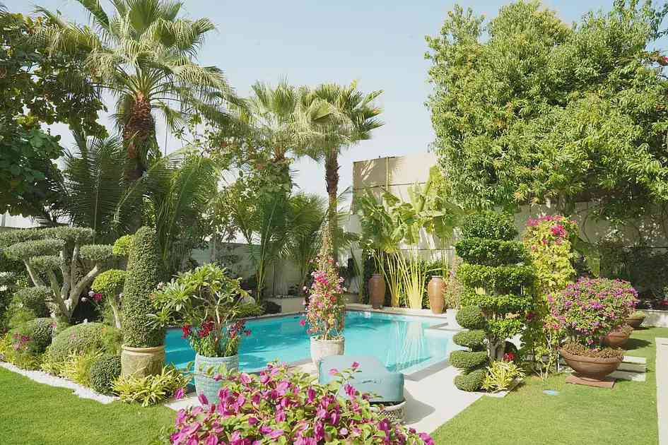 Dubai to plant 3.5 million trees by 2040
