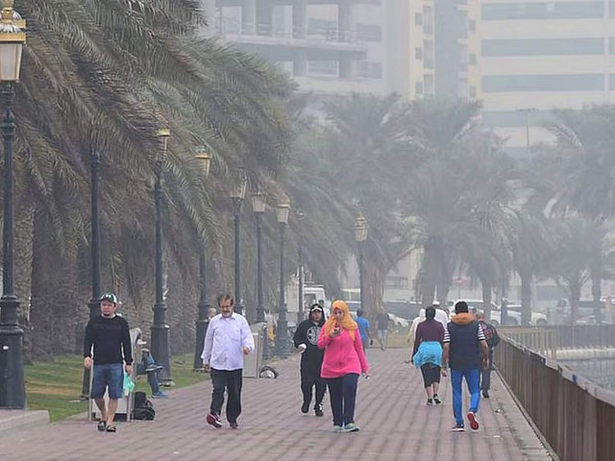 Cold and Rainy Winter in the UAE: Temperatures Decrease